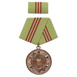 Medaile vyznamenání MDI \'F.TREUE DIENSTE\' 5let BRONZOVÁ